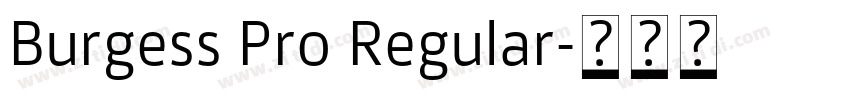 Burgess Pro Regular字体转换
